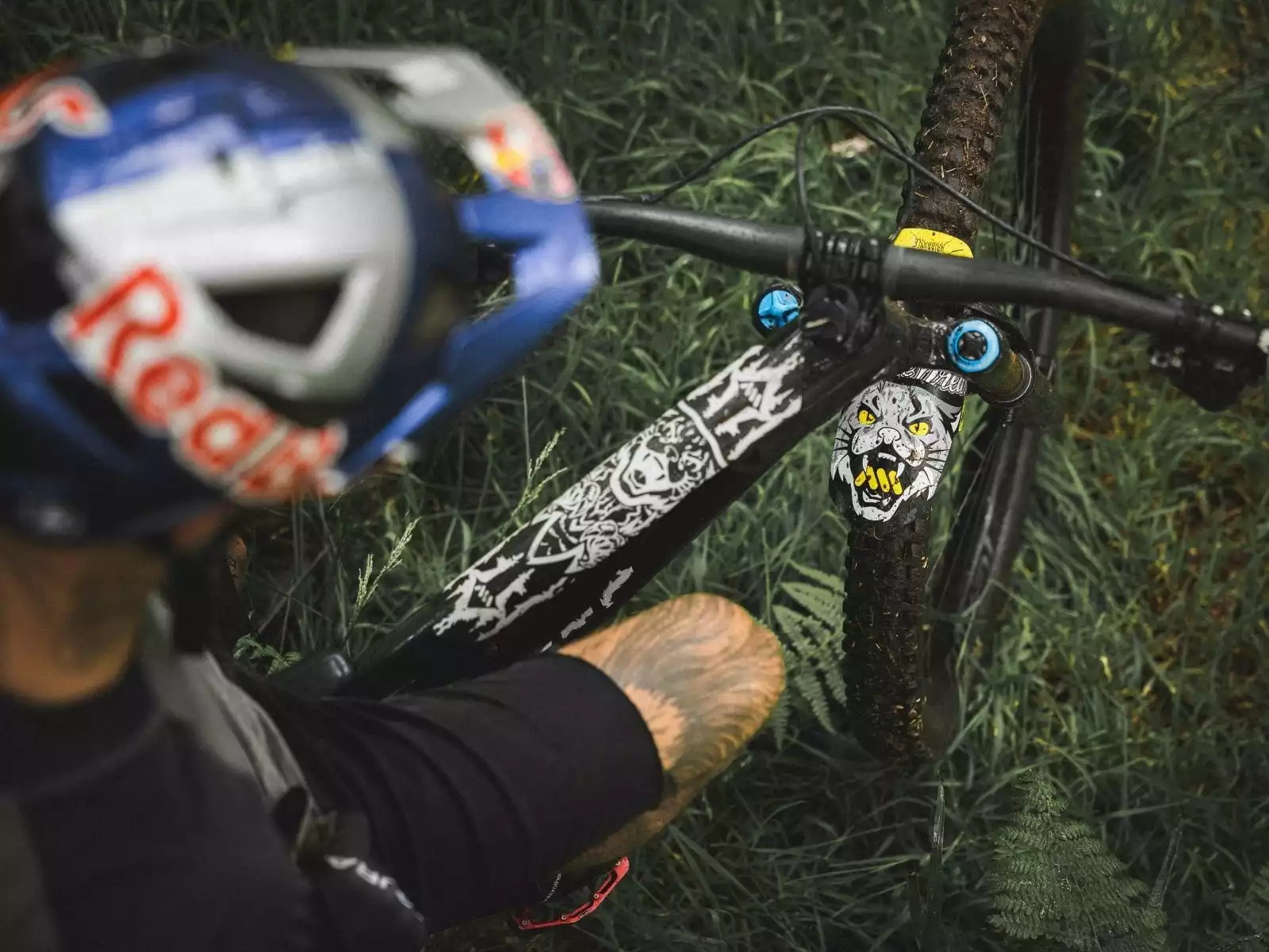 AMS - All Mountain Style Spatbord - Kriss Kyle 2 AMS - All Mountain Style Spatbord - Kriss Kyle - Afbeelding 2