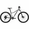 Cannondale Trail Dames 5 Lavendel