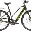 Diamant 365 Deluxe (Midstep) Oxidgrün Metallic E-Bike Trekkingrad Damen