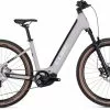 Cube Reaction Hybrid SLX 750 Grey N Spectral E-Bike Hardtail Mountainbike Lage Instap
