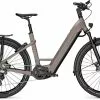 Kalkhoff Entice 7.B Move+ Moonstonegrey Matt E-Bike Hardtail Mountainbike Lage Instap