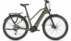 Kalkhoff Entice 5.B Season Urbangreen Matt E-Bike Hardtail Mountainbike Dames